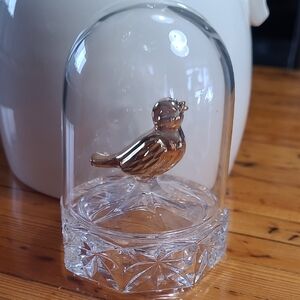 Elegant Gold Bird Glass Dome Decor